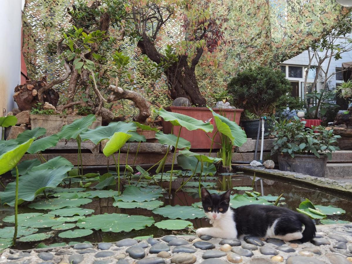 The Lily Pad Inn Đại Lý Ngoại thất bức ảnh