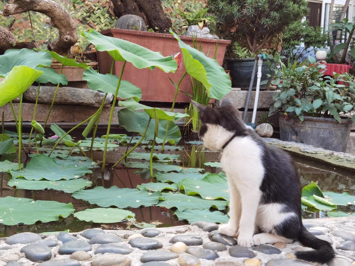 The Lily Pad Inn Đại Lý Ngoại thất bức ảnh