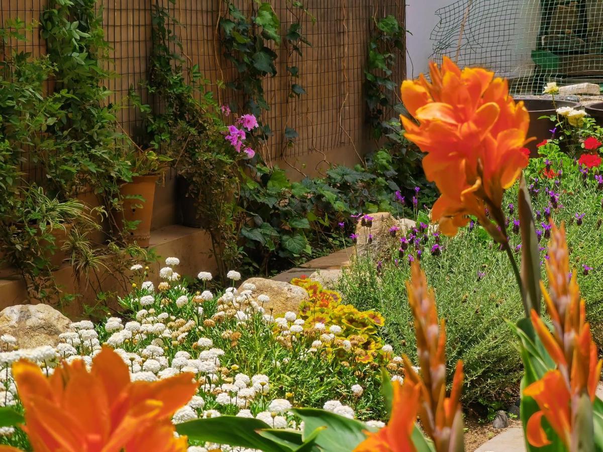 The Lily Pad Inn Đại Lý Ngoại thất bức ảnh