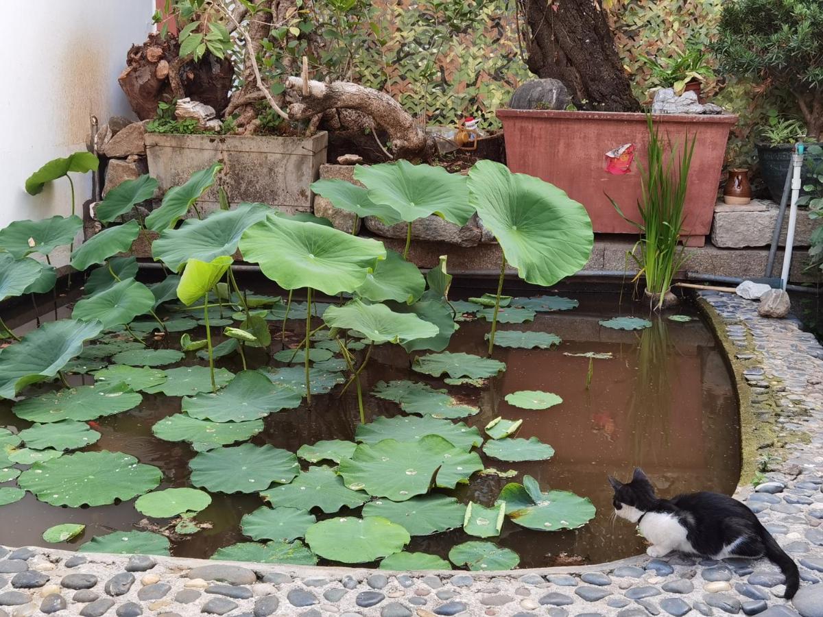 The Lily Pad Inn Đại Lý Ngoại thất bức ảnh