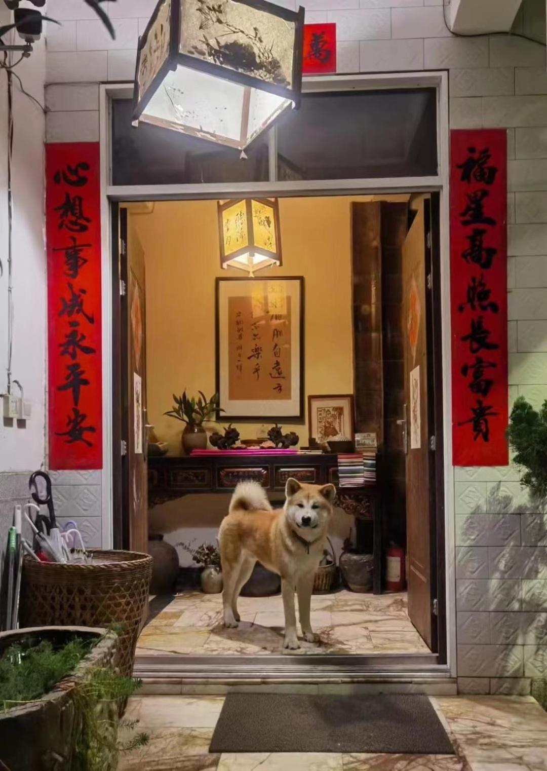 The Lily Pad Inn Đại Lý Ngoại thất bức ảnh