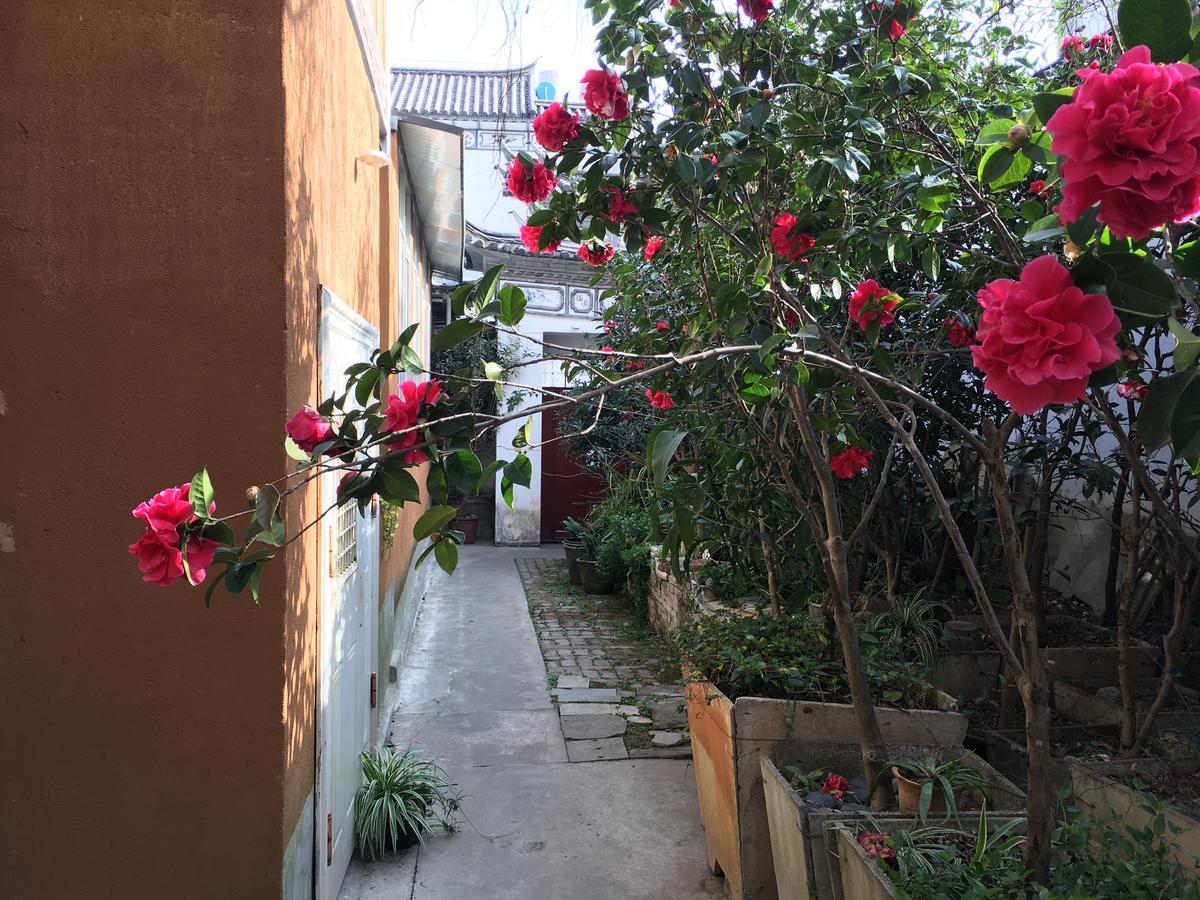 The Lily Pad Inn Đại Lý Ngoại thất bức ảnh