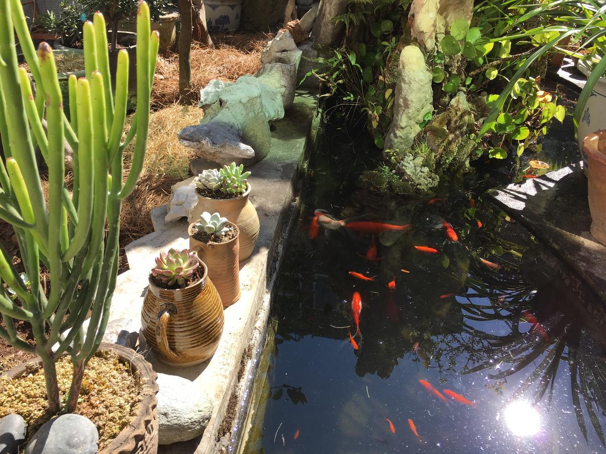 The Lily Pad Inn Đại Lý Ngoại thất bức ảnh